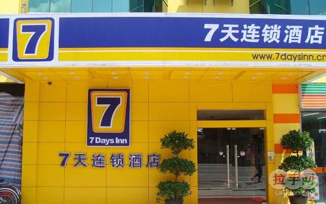 广州91视频污免费下载